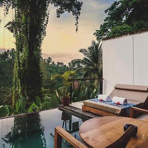 Villa Piscina de 1 Dormitorio